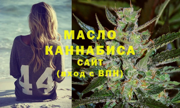 сатива Ростов