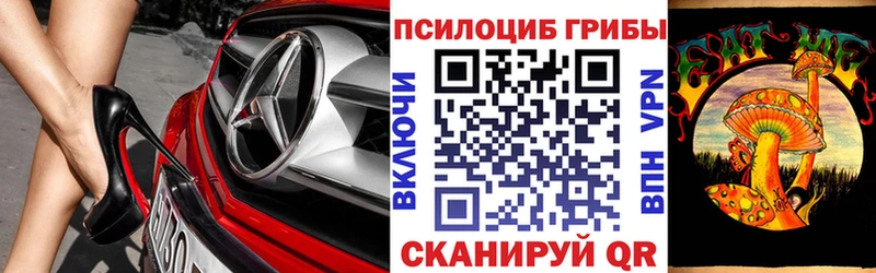 дарнет шоп  Сергач  Галлюциногенные грибы мицелий 
